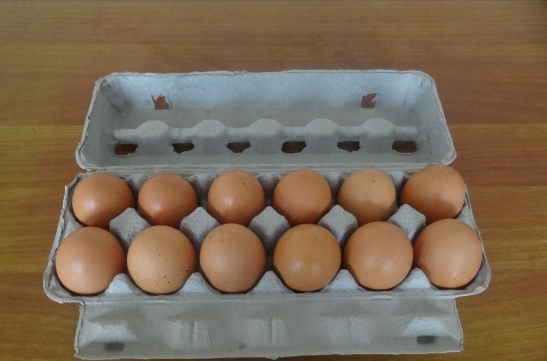 Use Egg Tray Making Machine to Make Egg Carton