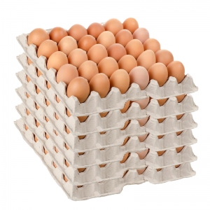 Use Egg Tray Machine India to Make Egg Trays