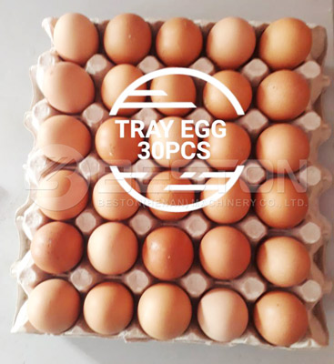 30Holes Egg Trays