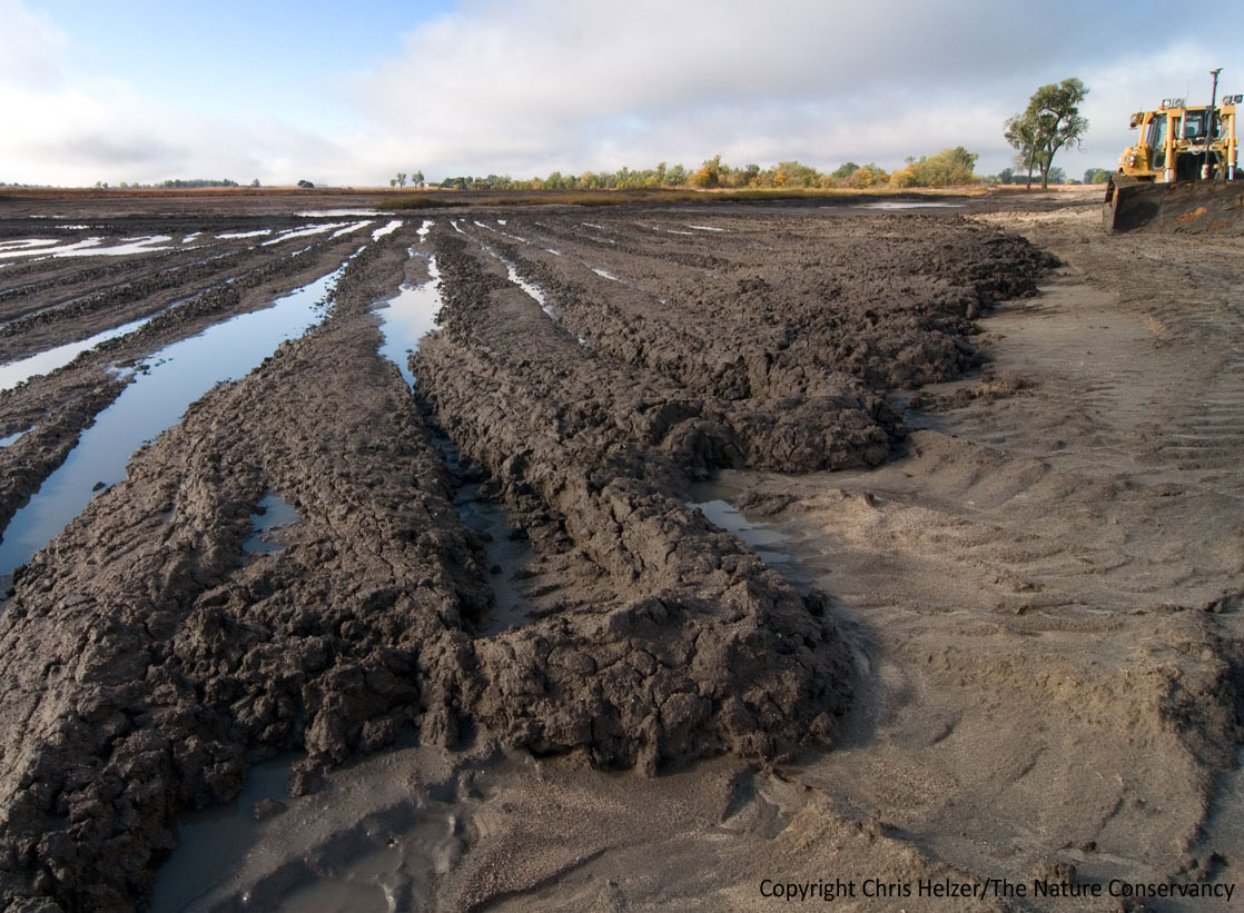 oil sludge